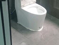 衛(wèi)生間有異味，有什么去除小技巧呢？