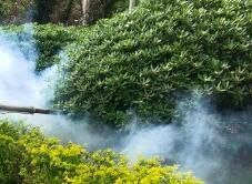 四害消殺完成后，需要做哪些鞏固工作呢？